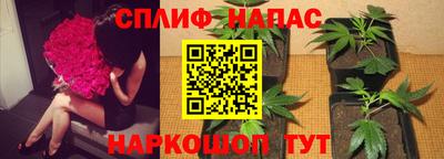 трава Можайск