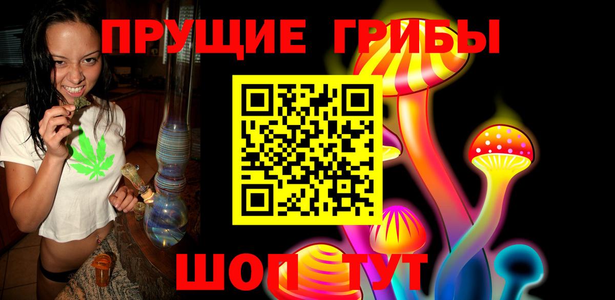 Псилоцибиновые грибы GOLDEN TEACHER Новокузнецк